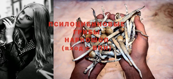 мдма Белокуриха